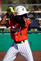 Dallas Tigers Clay Palmer