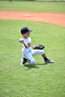 8U Mojo Blue