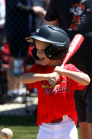 6U Piedmont Cardinals