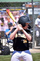 11U Piedmont Indians